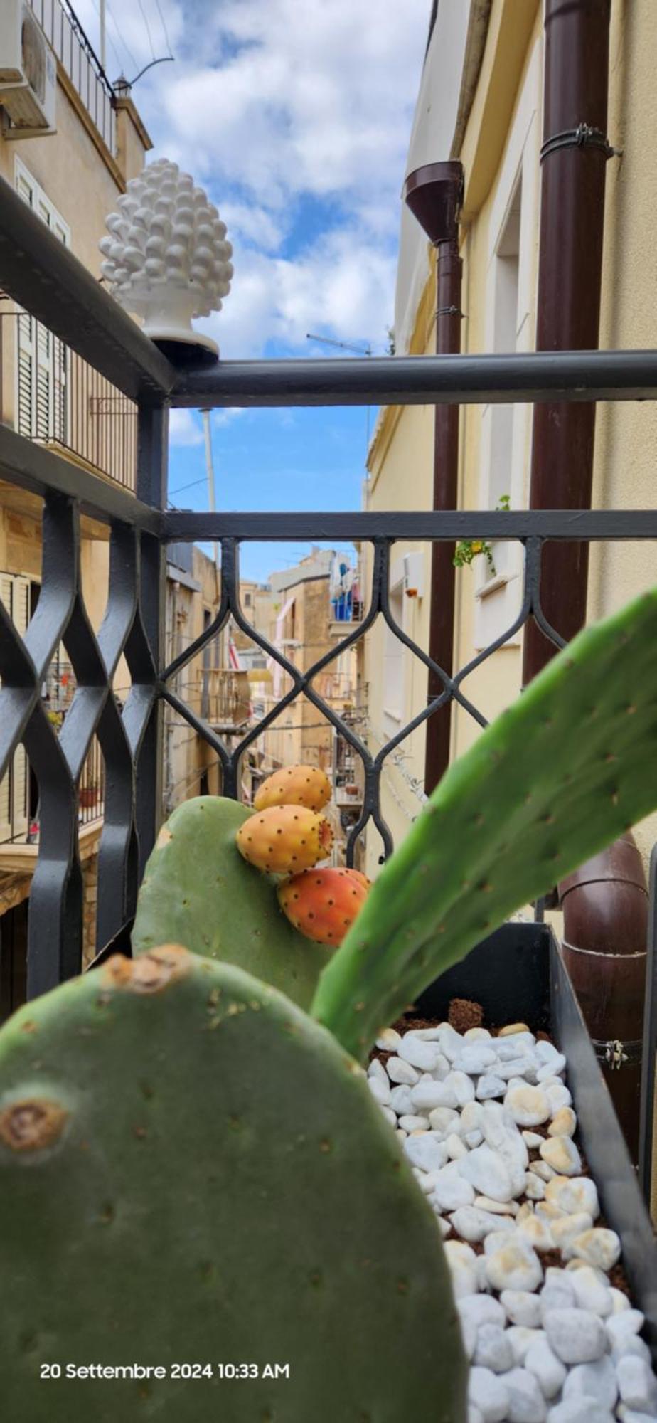 Casa Francesca Hotel Caltagirone Exterior photo